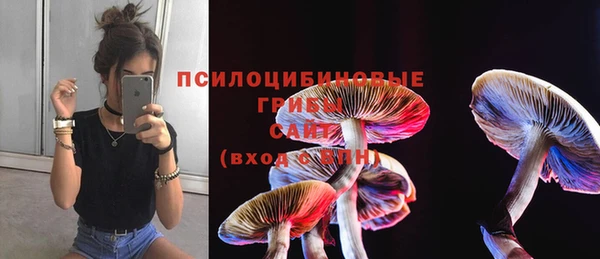 молекула духа Кулебаки