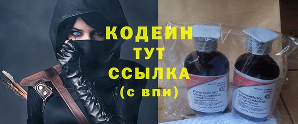 молекула духа Кулебаки