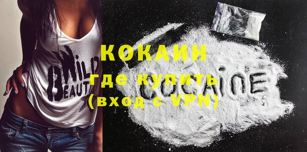 молекула духа Кулебаки