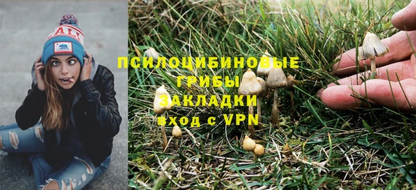 2c-b Куйбышев