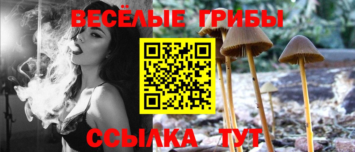 Нижнекамск  Галлюциногенные грибы Psilocybe  Вход с VPN 