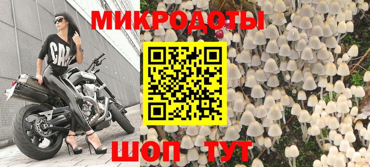 Псилоцибиновые грибы прущие грибы Нижнекамск